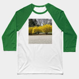 Forsythia Baseball T-Shirt